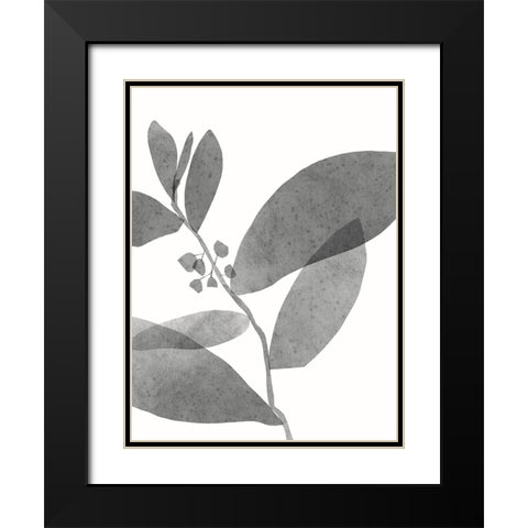 New Roots II Black Modern Wood Framed Art Print with Double Matting by Holman, Nicholas