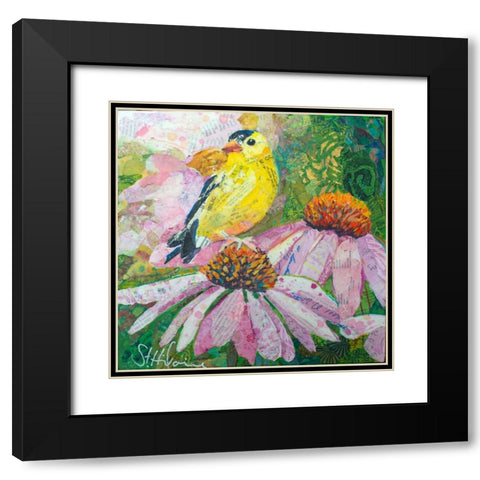 Finch on Coneflowers Black Modern Wood Framed Art Print with Double Matting by St Hilaire, Elizabeth