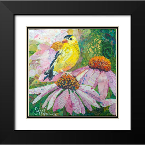 Finch on Coneflowers Black Modern Wood Framed Art Print with Double Matting by St Hilaire, Elizabeth