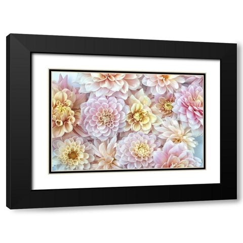 Dahlia Tapestry I Black Modern Wood Framed Art Print with Double Matting by Stalus, Judy