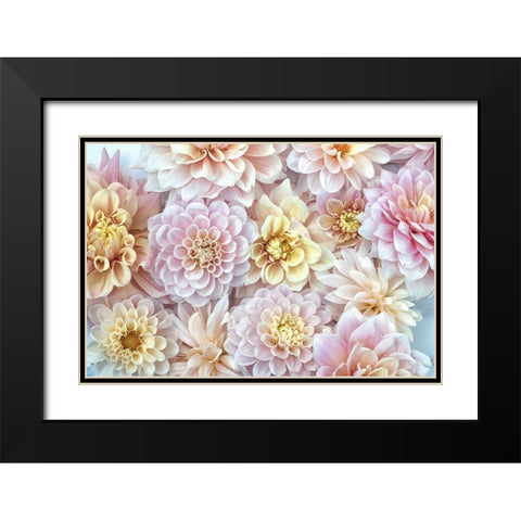 Dahlia Tapestry I Black Modern Wood Framed Art Print with Double Matting by Stalus, Judy