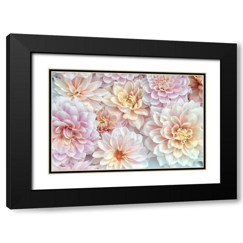 Dahlia Tapestry II Black Modern Wood Framed Art Print with Double Matting by Stalus, Judy