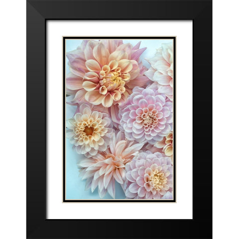 Dahlia Tapestry III Black Modern Wood Framed Art Print with Double Matting by Stalus, Judy