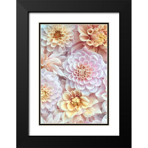 Dahlia Tapestry IV Black Modern Wood Framed Art Print with Double Matting by Stalus, Judy