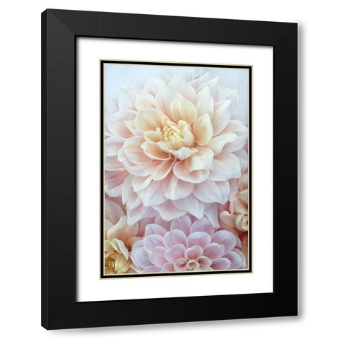 Dahlia Dream Black Modern Wood Framed Art Print with Double Matting by Stalus, Judy