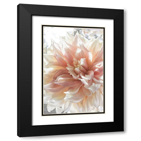 Dazzle Black Modern Wood Framed Art Print with Double Matting by Stalus, Judy
