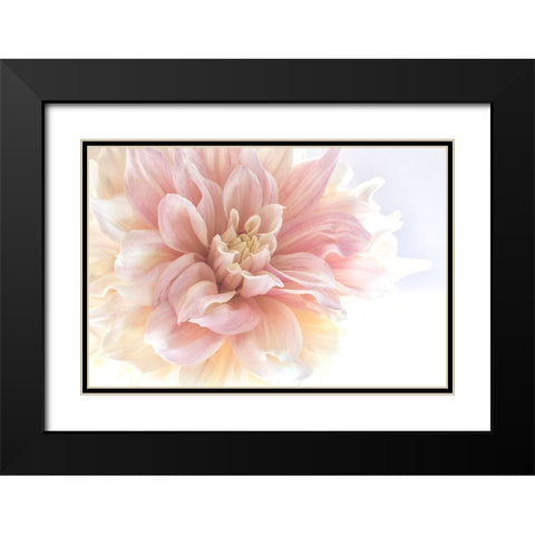 Sunburst Black Modern Wood Framed Art Print with Double Matting by Stalus, Judy