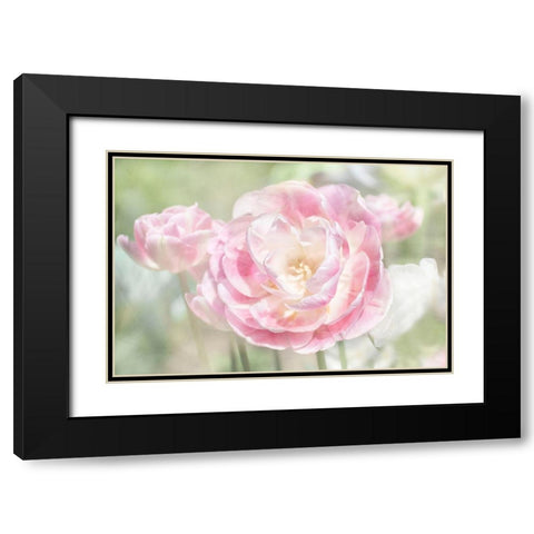 Tulips Black Modern Wood Framed Art Print with Double Matting by Stalus, Judy