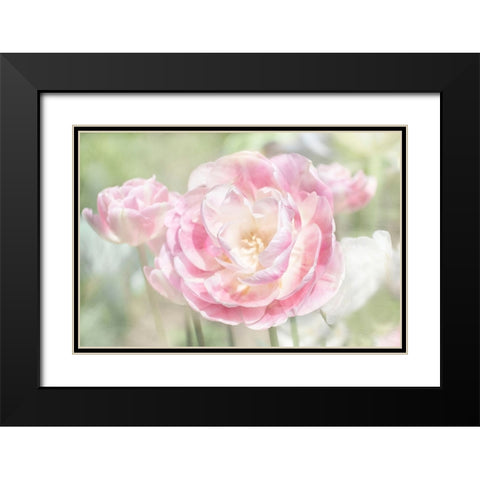 Tulips Black Modern Wood Framed Art Print with Double Matting by Stalus, Judy