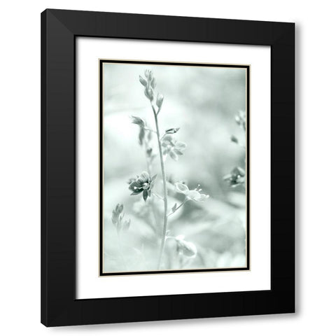Silver Morning Black Modern Wood Framed Art Print with Double Matting by Stalus, Judy