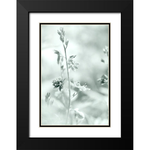 Silver Morning Black Modern Wood Framed Art Print with Double Matting by Stalus, Judy