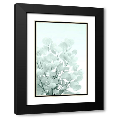 Sweet Shrub Black Modern Wood Framed Art Print with Double Matting by Stalus, Judy