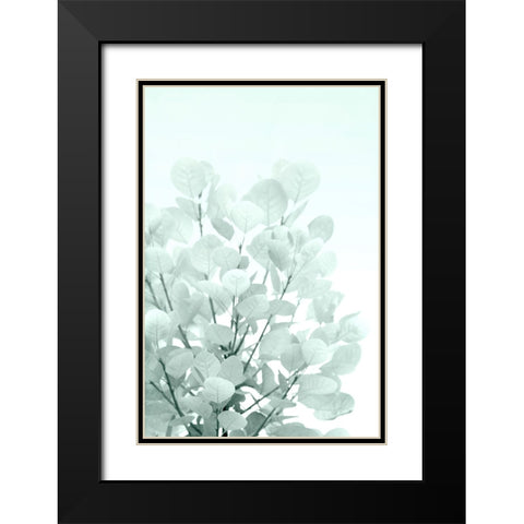 Sweet Shrub Black Modern Wood Framed Art Print with Double Matting by Stalus, Judy