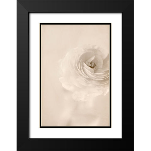 Whisper Black Modern Wood Framed Art Print with Double Matting by Stalus, Judy