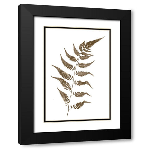 Fern Black Modern Wood Framed Art Print with Double Matting by Stalus, Judy