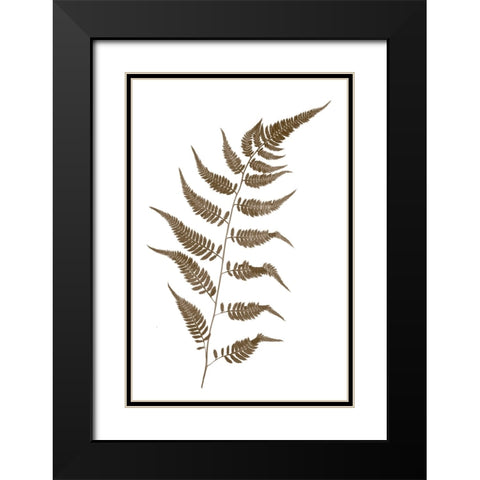 Fern Black Modern Wood Framed Art Print with Double Matting by Stalus, Judy