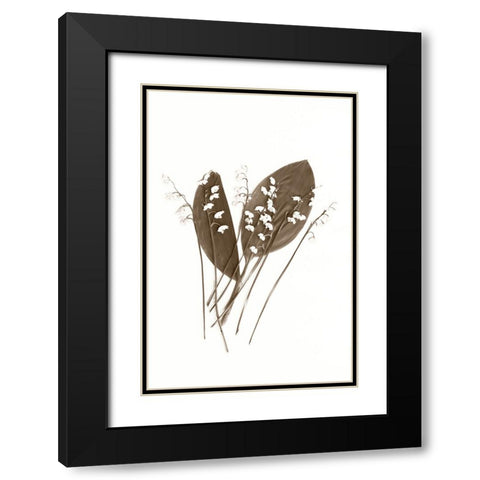 Lily of the Valley Black Modern Wood Framed Art Print with Double Matting by Stalus, Judy