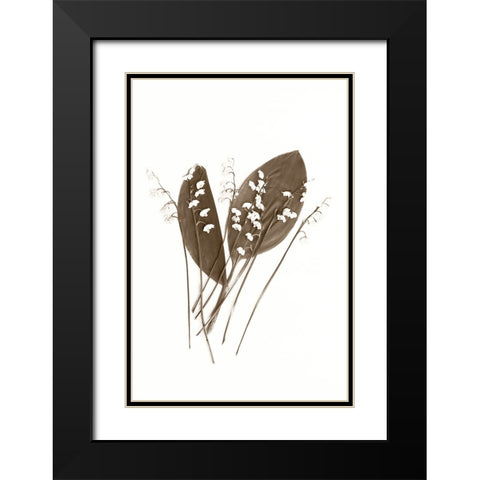 Lily of the Valley Black Modern Wood Framed Art Print with Double Matting by Stalus, Judy