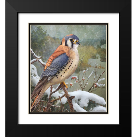 In Snowscape Kestrel Black Modern Wood Framed Art Print with Double Matting by Vest, Christopher