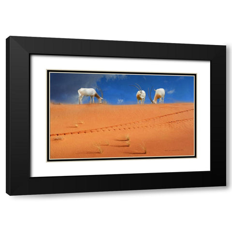 Scimitar Orxyes Restored Black Modern Wood Framed Art Print with Double Matting by Vest, Christopher