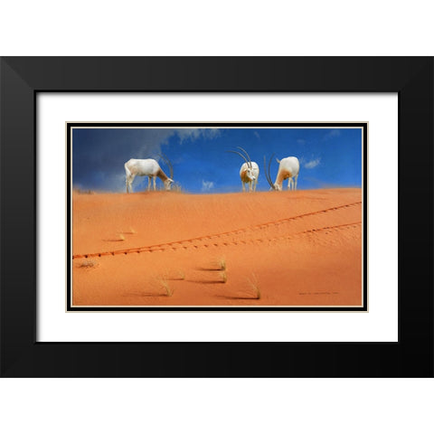 Scimitar Orxyes Restored Black Modern Wood Framed Art Print with Double Matting by Vest, Christopher