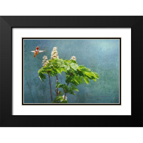 Windy Days Chestnut Blooms Black Modern Wood Framed Art Print with Double Matting by Vest, Christopher