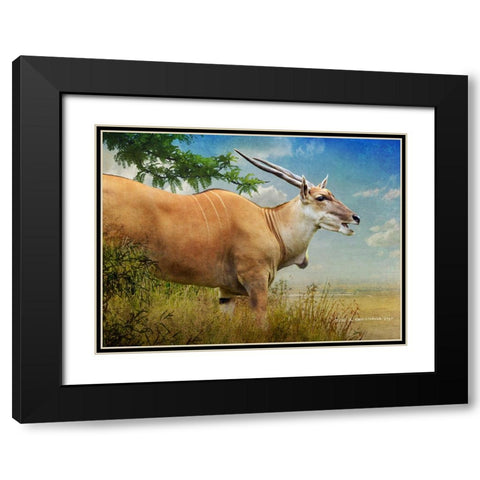 Stepping out female common eland Black Modern Wood Framed Art Print with Double Matting by Vest, Christopher
