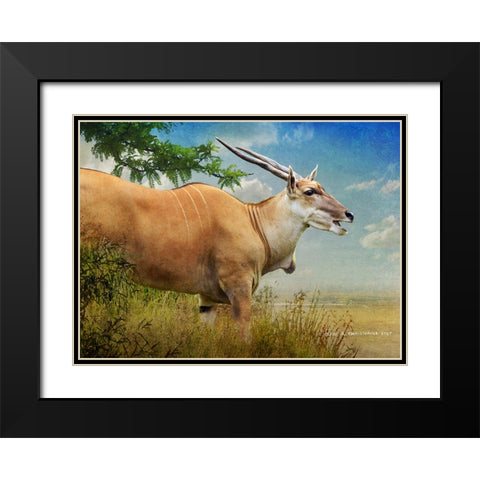 Stepping out female common eland Black Modern Wood Framed Art Print with Double Matting by Vest, Christopher