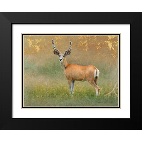 High Summer Velvet Buck Deer Black Modern Wood Framed Art Print with Double Matting by Vest, Christopher