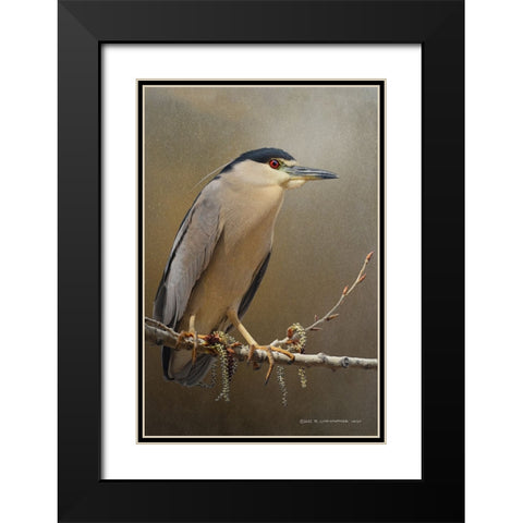 Night Heron in spring Black Modern Wood Framed Art Print with Double Matting by Vest, Christopher
