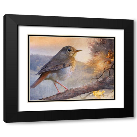 Hermit Thrush Hillside Drive Black Modern Wood Framed Art Print with Double Matting by Vest, Christopher