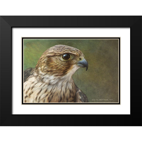 Merlin Portrait Black Modern Wood Framed Art Print with Double Matting by Vest, Christopher