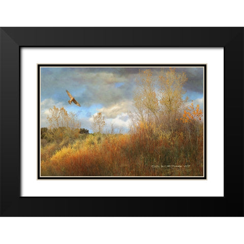 Willow Cottonwood Gulley Black Modern Wood Framed Art Print with Double Matting by Vest, Christopher