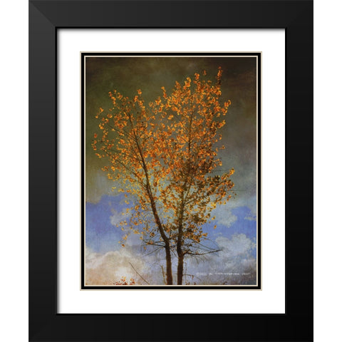 Lone Cottonwood Tree Black Modern Wood Framed Art Print with Double Matting by Vest, Christopher