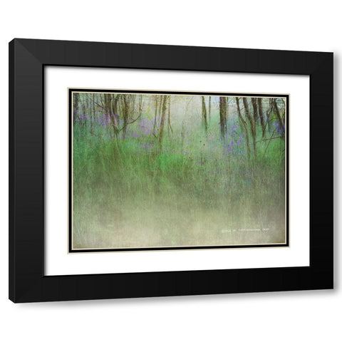 Glimpse of the Lake Black Modern Wood Framed Art Print with Double Matting by Vest, Christopher