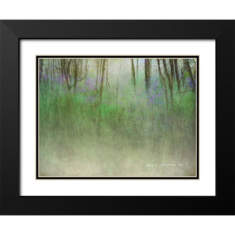 Glimpse of the Lake Black Modern Wood Framed Art Print with Double Matting by Vest, Christopher