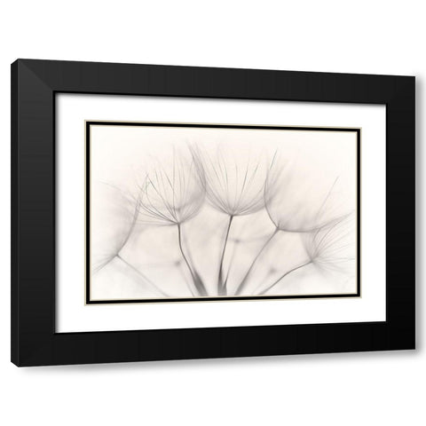 No title Black Modern Wood Framed Art Print with Double Matting by Arnholtz, Jakob
