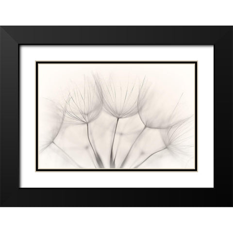 No title Black Modern Wood Framed Art Print with Double Matting by Arnholtz, Jakob