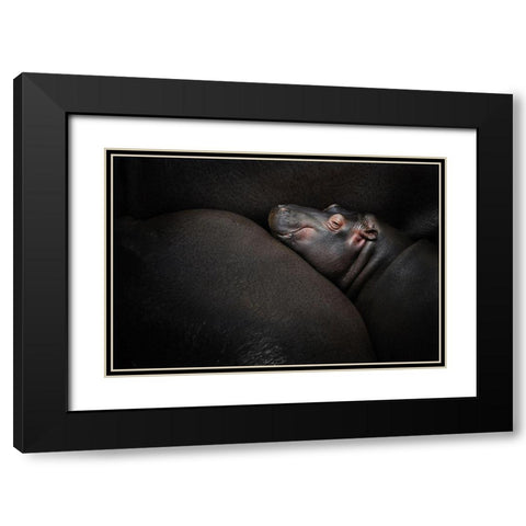 Dreamin Black Modern Wood Framed Art Print with Double Matting by Vales, Zdenek