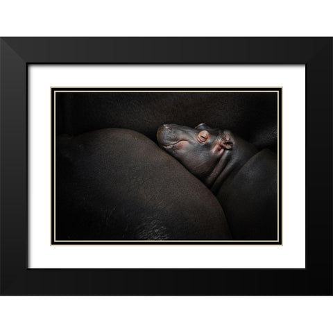 Dreamin Black Modern Wood Framed Art Print with Double Matting by Vales, Zdenek