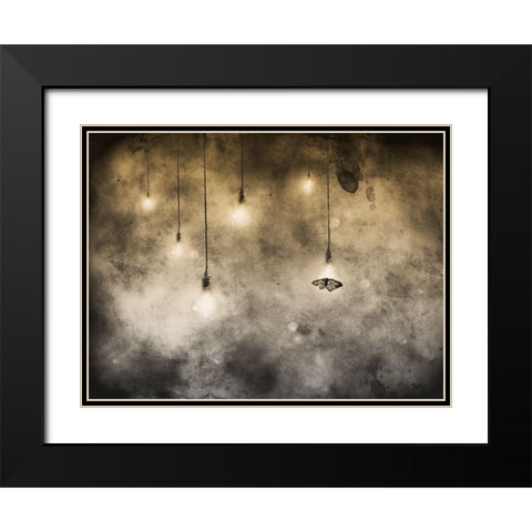 attraction Black Modern Wood Framed Art Print with Double Matting by Hummel, Jeffrey