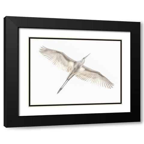 Fly Black Modern Wood Framed Art Print with Double Matting by Or, Keren