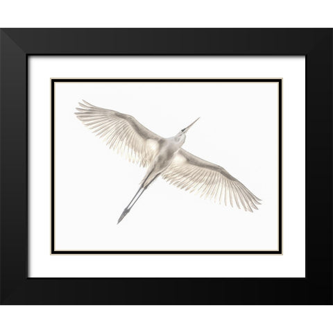 Fly Black Modern Wood Framed Art Print with Double Matting by Or, Keren