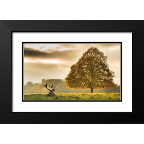 Untitled Black Modern Wood Framed Art Print with Double Matting by Thomas, Tudor