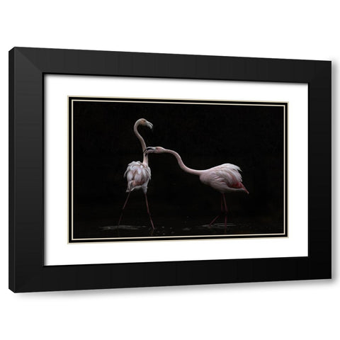 Not all is rosy Black Modern Wood Framed Art Print with Double Matting by Benezech, Martine