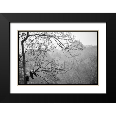 Relax Black Modern Wood Framed Art Print with Double Matting by Catta, Alessandro
