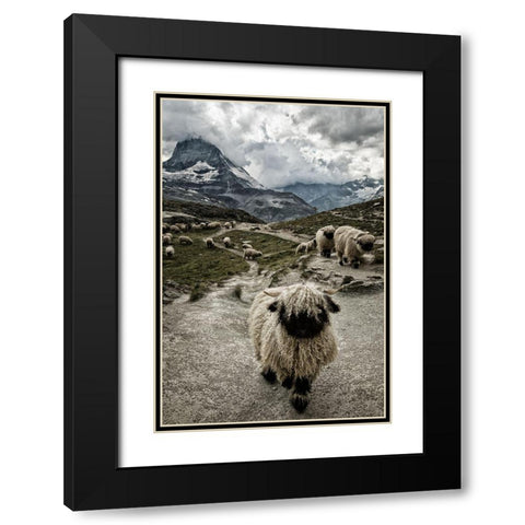 Out of my way Black Modern Wood Framed Art Print with Double Matting by Landolt, Susanne