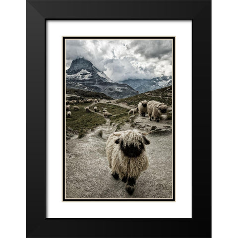 Out of my way Black Modern Wood Framed Art Print with Double Matting by Landolt, Susanne