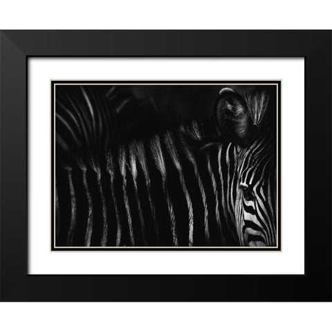 Untitled Black Modern Wood Framed Art Print with Double Matting by Grambone, Antonio