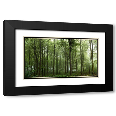 Forest Black Modern Wood Framed Art Print with Double Matting by Londal, Leif